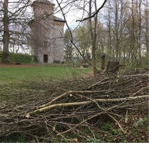 Viele geschnittenen Asthaufen müssen entsorgt werden.privat