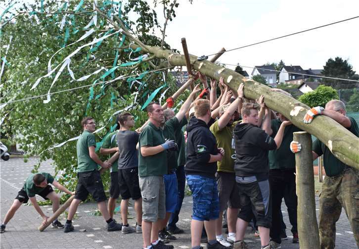 Viele starke Männer wurden gebraucht, um denMelsbacher Kirmesbaum in die Senkrechte zu bekommen.HEP