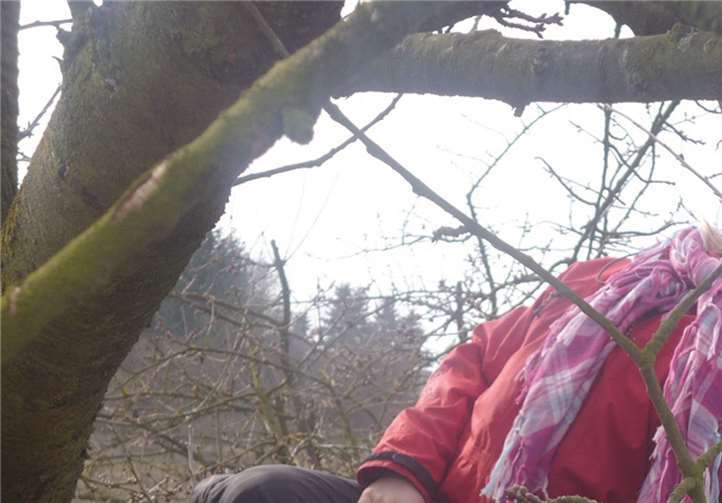 Viele suchten auch die luftigen Höhen der Bäume auf.