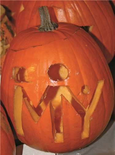 Viele verrückte, schaurige und lustige Kürbisgesichter sollen bei den MyPumpkin Days entstehen. privat