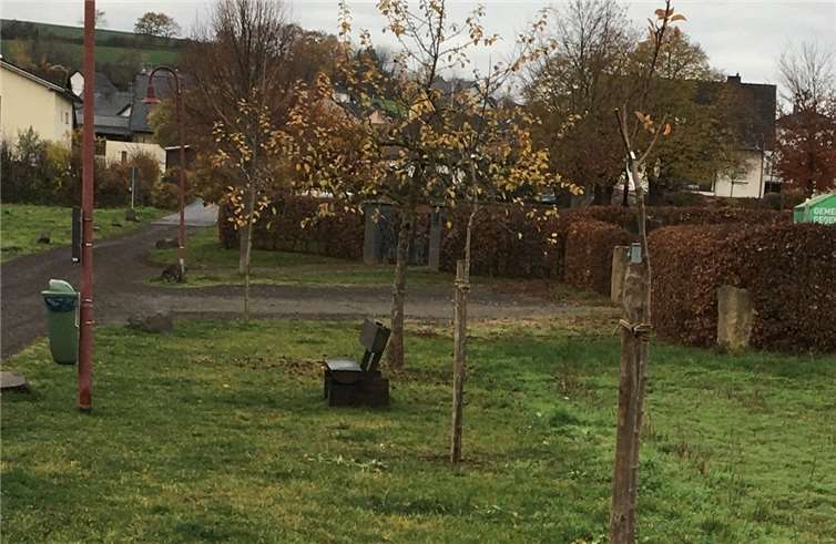 Viele verschiedene Aufgaben konnten am Aktions- und Pflanztag angegangen werden, um Welling ein wenig grüner werden zu lassen. Foto: privat