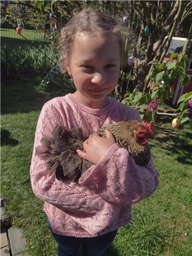 Viele verschiedene Tiere konnten die Kinder Bewundern. Foto: GS