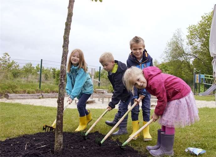 Vielerorts wurden Blumensamen ausgesät.