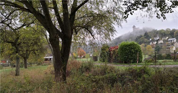 Vieles über den Herbst werden die Teilnehmer auf der Wanderung lernen.Foto: Naturpark Nassau