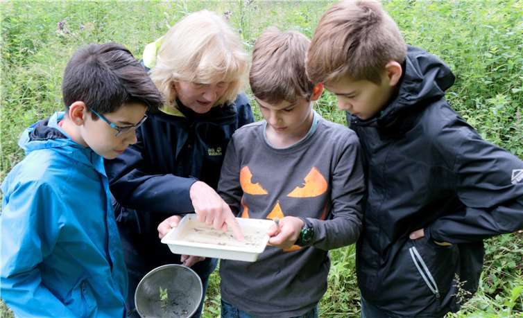 Vieles über die Wasserqualität erfuhren die Pachpaten aus erster HandSES