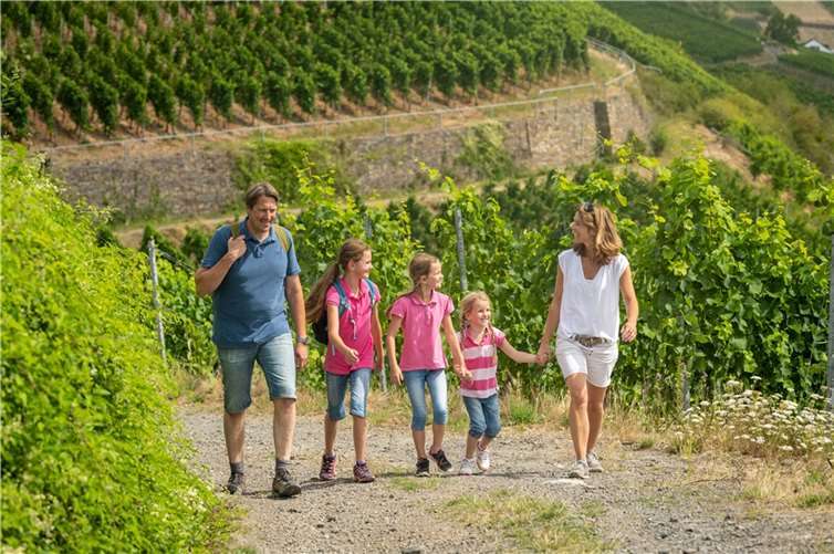 Vier Gipfel an vier Tagen können Wanderfans beim Ahrtaler Gipfelfest an Fronleichnam erklimmen. Dieses Jahr erstmals wieder mit Vor-Ort-Programm für die ganze Familie. Foto: Dominik Ketz