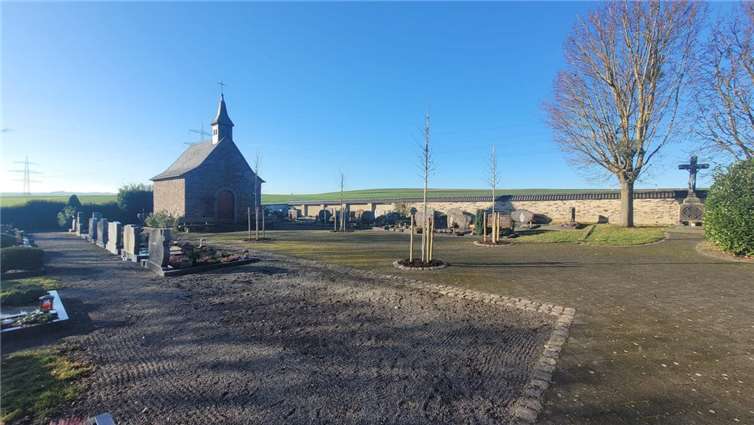 Vier neue Baume wurden gepflanzt. Fotos: privat