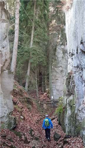 Vierbergetour mit Abstecher ins Felsengebiet „Rauhbuur“ mit seinen massiven Tuffsteinwänden.