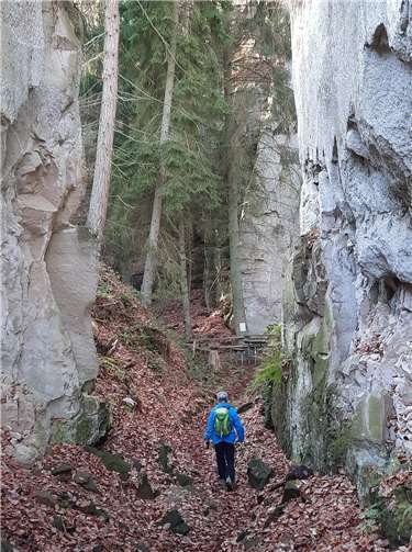 Vierbergetour mit Abstecher ins Felsengebiet „Rauhbuur“ mit seinen massiven Tuffsteinwänden‘. Foto: privat