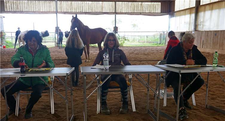 V.l. Claudia Janoschka, Elisa Bahrouz und Krista Ruepp. Foto: privat