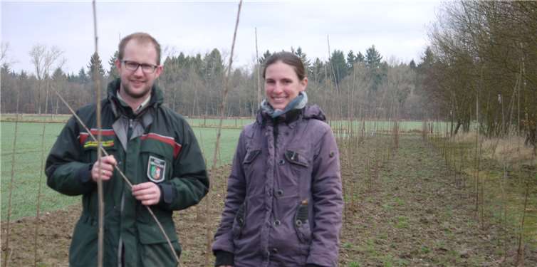 V.l. Förster Arne Wollgarten und Anna Lena Müller kontrollieren die neu angepflanzten Vogelkirschen.privat