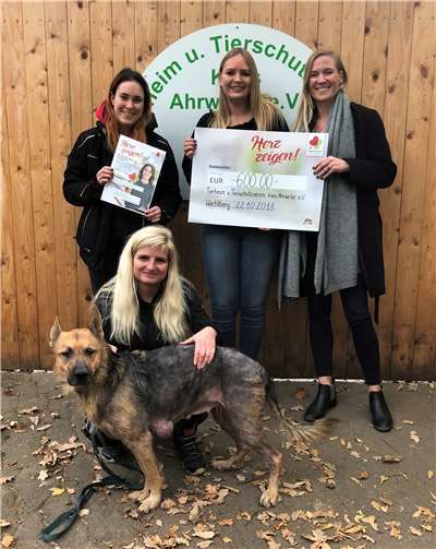 V.l.: Sally Zbikowski (Bundesfreiwilligendienst im Tierheim Remagen), zwei Mitarbeiterinnen des dm-Marktes, unten Madeleine von Falkenberg (Leiterin Tierheim Remagen) mit Abby, Fundhund aus Wachtberg.privat