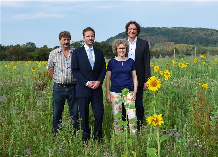 Bitte keine Blumen pflücken V.l. Wolfgang Weitzel (Leiter des Bauhofs der Stadt Remagen), Björn Ingendahl (Bürgermeister der Stadt Remagen), Barbara Hartmann (Erste Vorsitzende des Kreisimkerverbands Ahrweiler) und Marc Bors (Stadtmarketing Remagen).privat