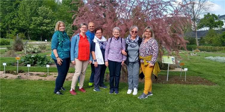 V.li. Gisela Burgau, Helga Drodten, Andreas Surrey, Theresia Weber, Ingrid Mecklenburg, Helga Lux und Marion Surrey. Foto: privat