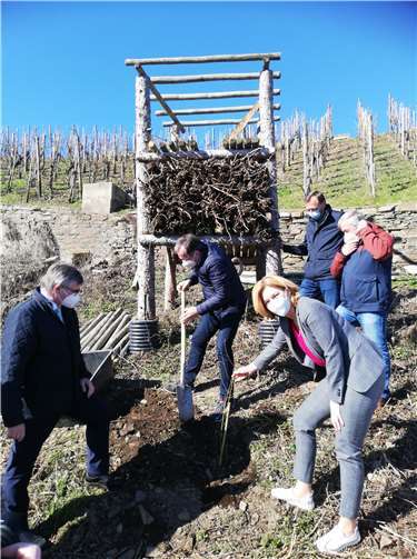 V.li. Landrat Dr. Alexander Saftig, Landrat Gregor Eibes, Julia Klöckner, Josef Oster MdB und Ortsbürgermeister Rüdiger Weyh. Copyright: Regionalinitiative Faszination Mosel