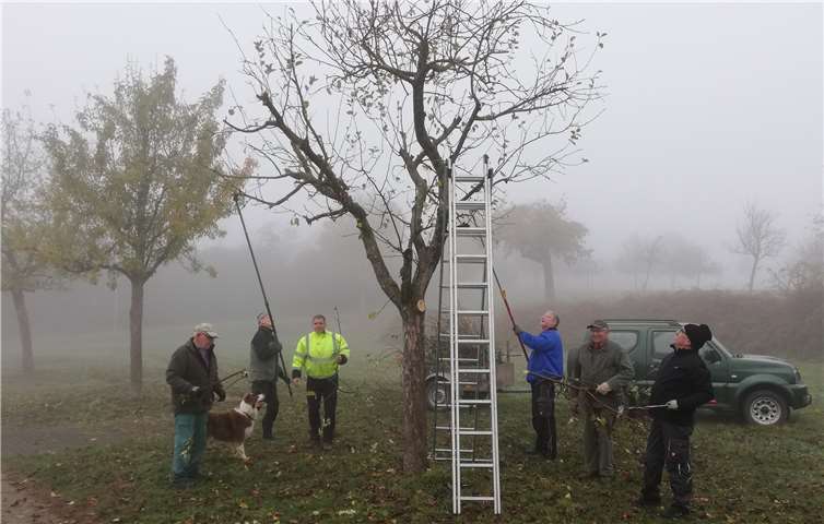 V.l.n.r.: Richard Nikolai, Rudi Börsch, Marco Kneip (Ortsbürgermeisterkandidat), Peter Scheidweiler, Paul Schmitt, Reinhold Kneip. Frank Börsch