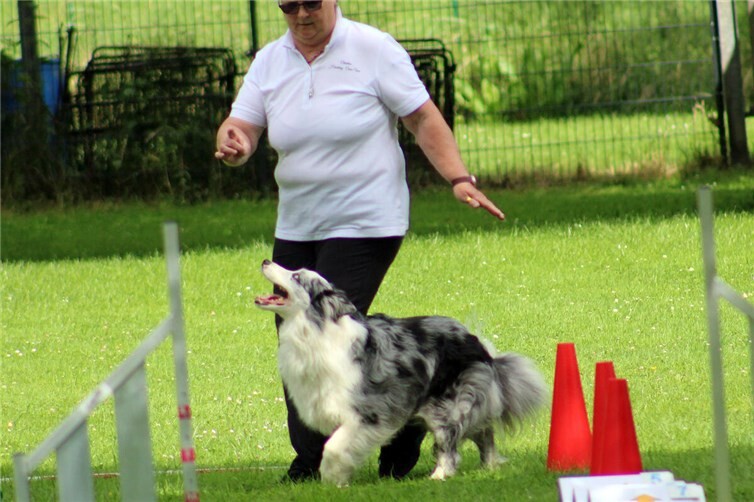 Volle Konzentration