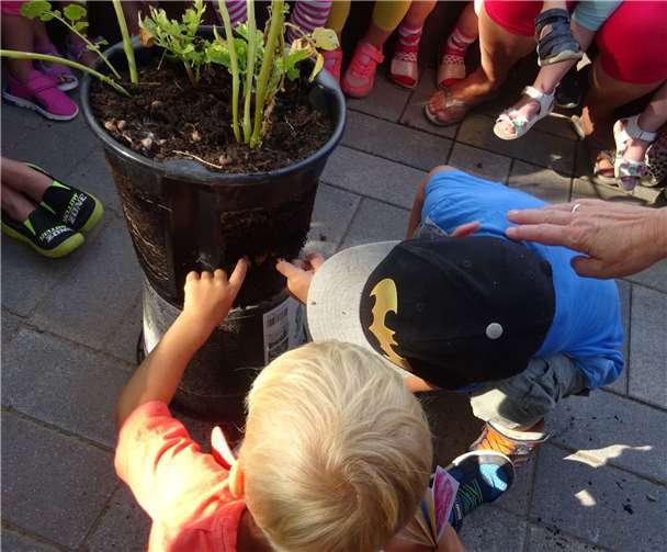 Voller Begeisterung entdecken die kleinen Forscher die Tier- und Pflanzenwelt. Fotos: privat