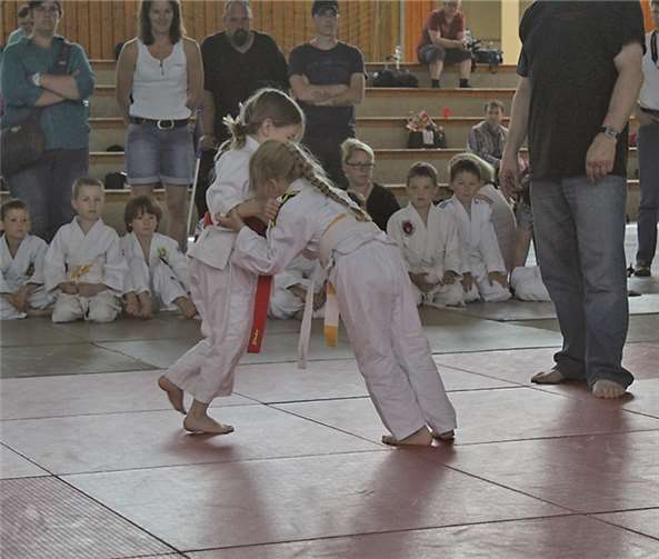 Voller Einsatz der Judokas beim Judowettkampf um möglichst viele Punkte für die begehrten Tier Abzeichen. privat