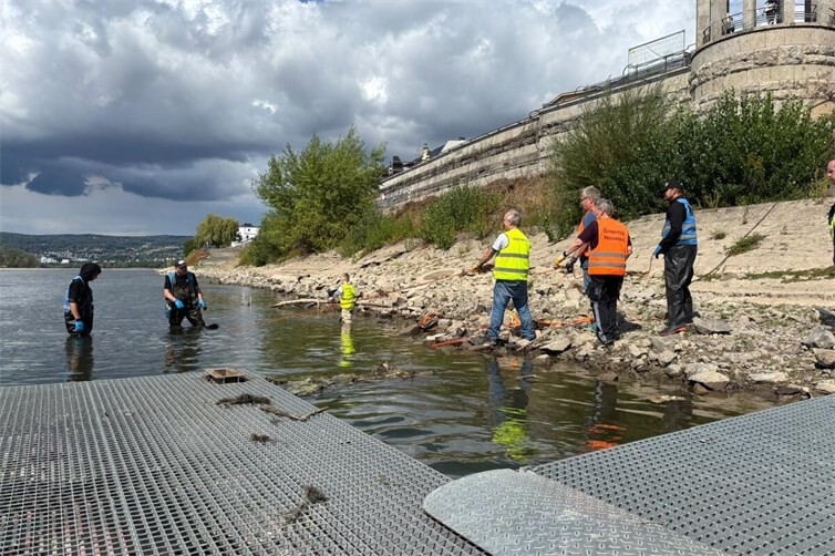 Voller Einsatz im und am Rhein