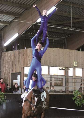 Voltigierturnier in Adenau am 10. und 11. Mai.Privat
