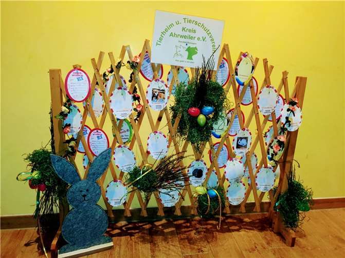 Vom 16. März bis zum 6. April wird, wie in jedem Jahr zu Ostern, in zahlreichen Geschäften und Apotheken im Kreis Ahrweiler und in der Gemeinde Wachtberg die Osteraktion „Wunsch-Ei“ zugunsten der Schützlinge im Tierheim Remagen durchgeführt. Foto: privat