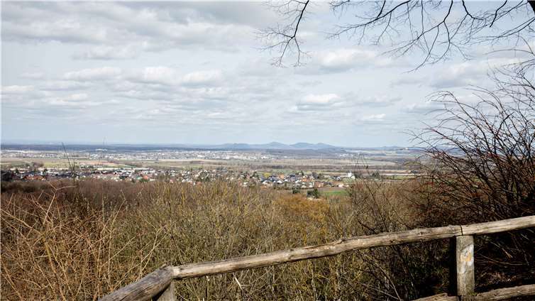 Vom Aussichtsplatz an der Tomburggenießt man den Blick bis zum Siebengebirge. Fotos: CEW