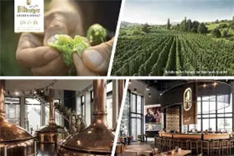 Vom Hopfen zum Bier