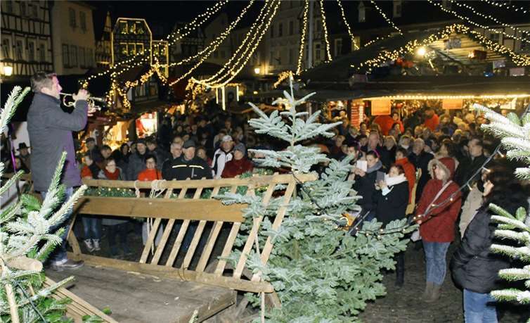 Vom Leiterwagen aus sorgte Bruce Kapusta mit seiner Trompete für weihnachtliche Klänge in der Bunten Stadt. Küsters (2), Fiala (2)