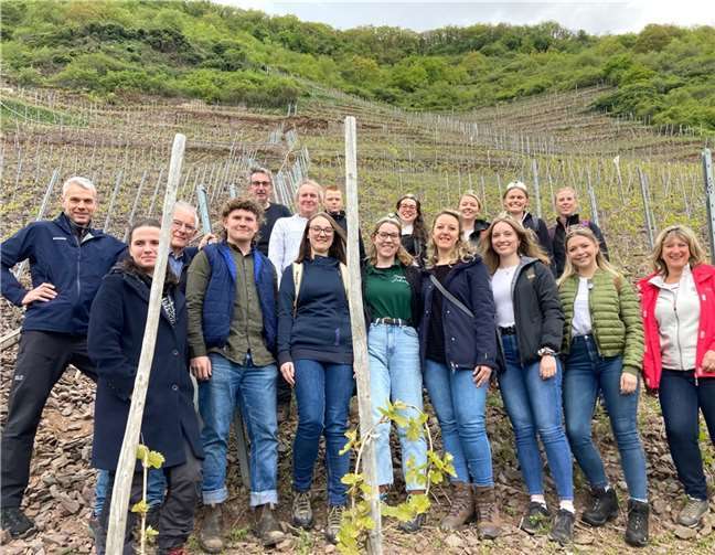 Vom Moseltal aus ging es für die amtierenden Weinmajestäten zusammen mit dem gastgebenden BREVA-Team in die Steillagen der regionalen Terrassenmosel. Foto: TE