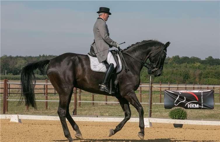 Vom jungen Reitanfänger bis zum erfahrenen Turnierreiter hatten alle Leistungsklassen Gelegenheit, sich mit ihresgleichen zu messen.