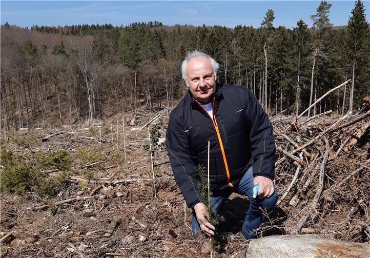 Von den Kahlflächen konnte der Waldbauer in diesem Frühjahr ein Drittel mit klimaresistenten Baumarten aufforsten. Foto: privat