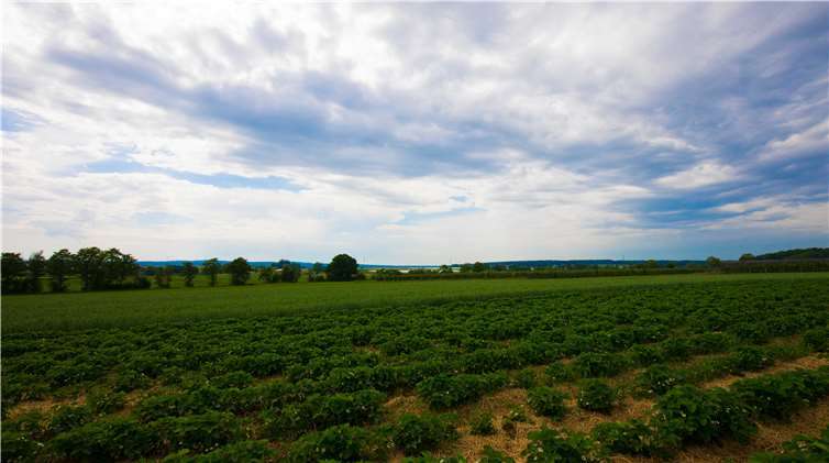 Von der Ruhenbank am Fuße des Kreuzes genießen Wanderer, Spaziergänger und Radler die Aussicht über das Land.