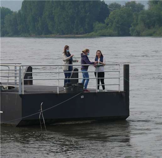 Von der Schiffsanlegestelle wurde ein feinmaschiges Netz ausgeworfen, um „Rumtreibendes“ einzusammeln.