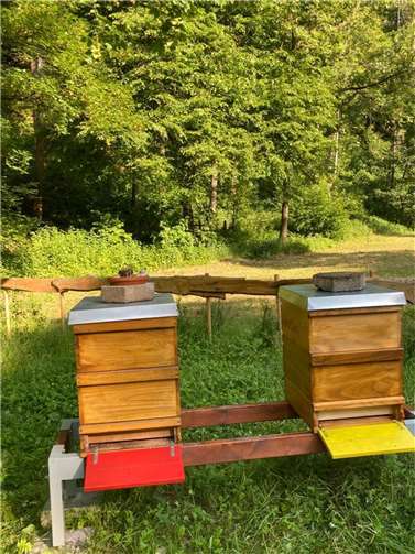 Von der Spende konnte sich die Schule einen neuen Schaukasten zulegen.