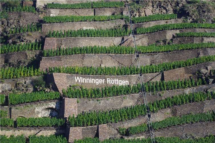 Von der Terrassenlage Winninger Röttgen kommt einer der mit Bestnote ausgezeichneten Moselweine. Foto: Moselwein e.V./Reinhard Pantke