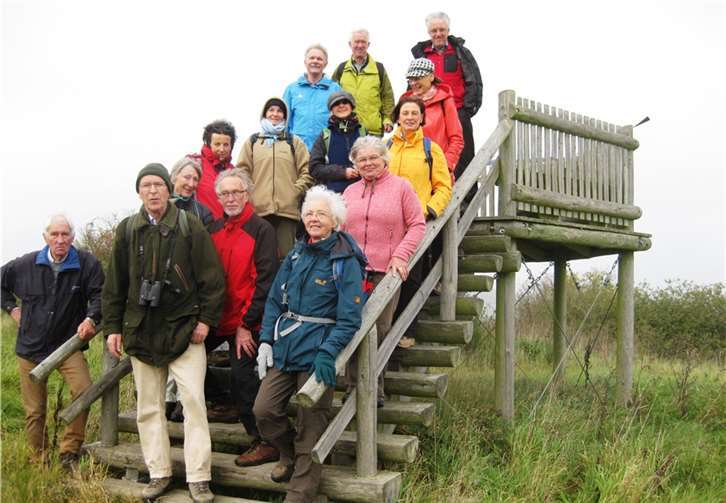 Von der hölzernen Aussichtsplattform waren im Novembernebel nur drei der versprochenen zwölf zu sehen. privat