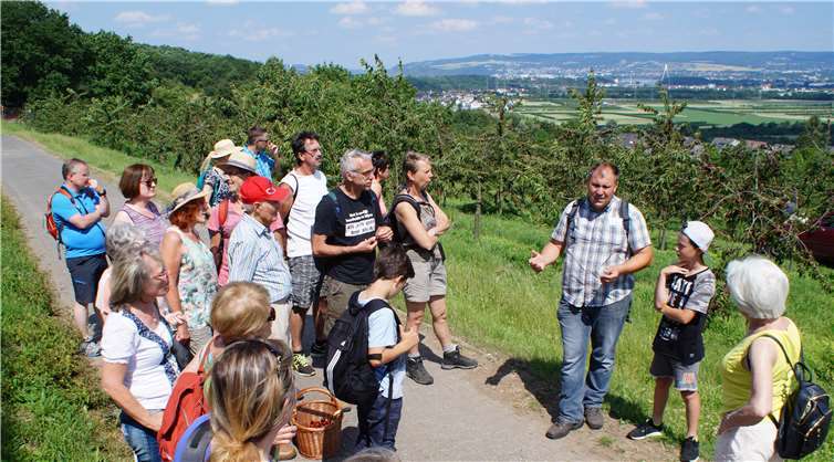 Von einer Anhöhe aus hatten die Teilnehmerder Wanderung eine wunderbare Aussicht auf das Rheintal. Fotos: KH