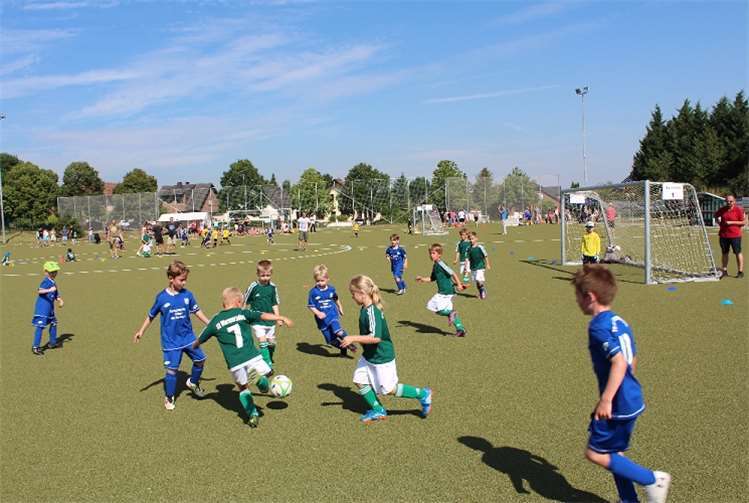 Von ihren Fans angefeuert, boten die Minikicker eine spannende Partie nach der anderen.privat