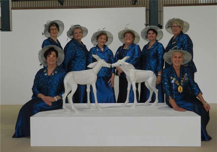 Von links: Andrea Norres, Birgit Koch, Elke Weber, Brigitte Settegast, Elfriede Meyer, Eva Meurer, Bärbel Geilen, Antje Surges. Es fehlen auf dem Foto Brigitte Platz, Doris Kuhl, Kerstin Goebel und Ulrike Backes. privat