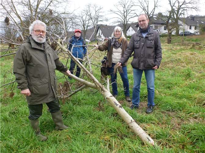 Von links: Bernd Walther (Streuobstverein), Andreas Owald (BUND), Andrea Brinkhoff (NABU), Jürgen Lorenz (DLR). Foto: privat