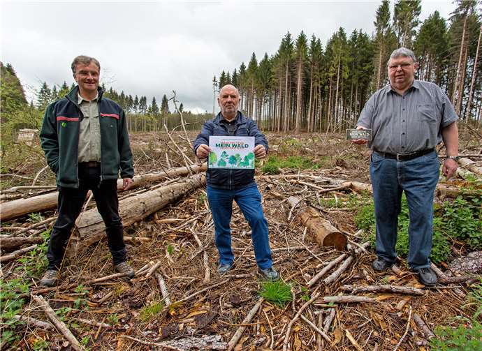 Von links: Revierförster Helmut Nett, Ideengeber Günther Geyer und der 1. Beigeordnete Hanno Steindorf rufen mit der Kampagne „Mein Selters - Mein Wald - Mein Beitrag“ zu Spenden für die Wiederbewaldung auf.Foto: privat