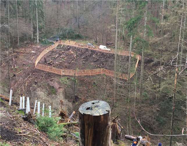 Von oben sieht man, wie steil und unwegsam der Schulwald in der „Frigiehn“ ist.