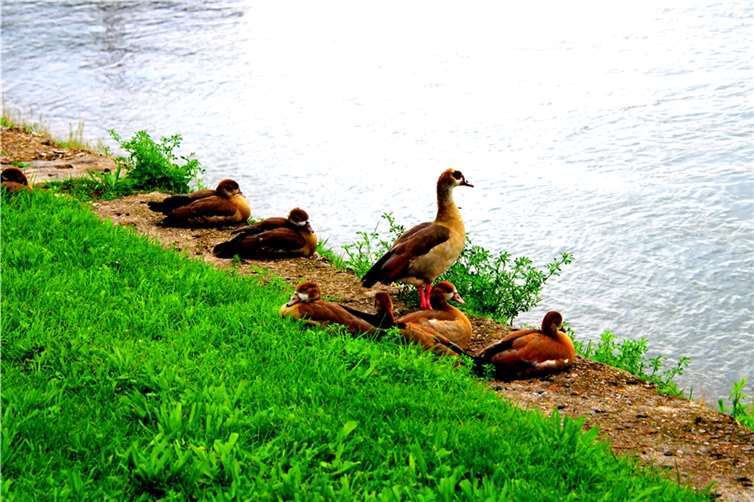 Von unserem Leser Dietmar Groß.Quelle: Dietmar Groß