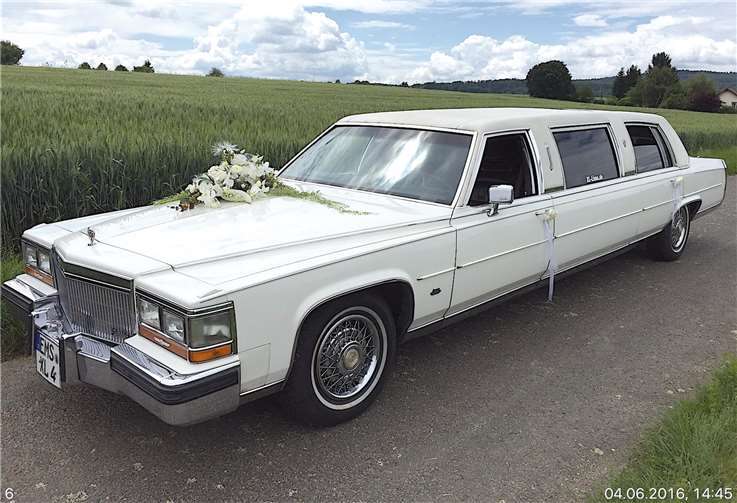 Vor Müllerland wird es einige Hochzeitsgefährte zu bestaunen geben.