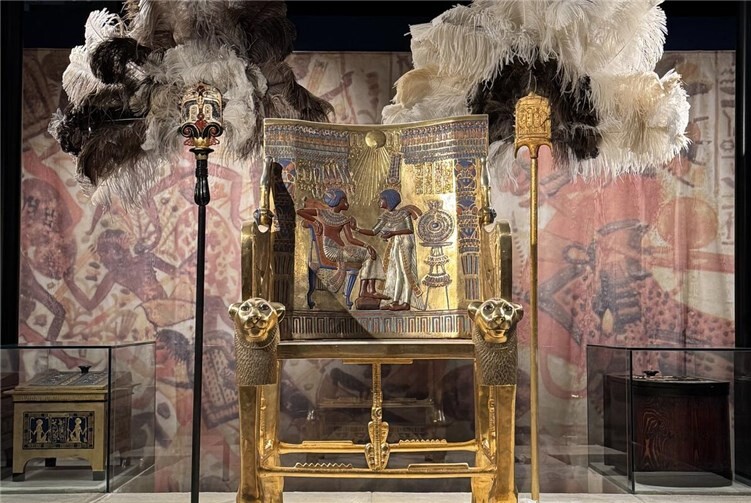 Vor Ort erwartete die Klasse eine eindrucksvolle und immersive Ausstellung.