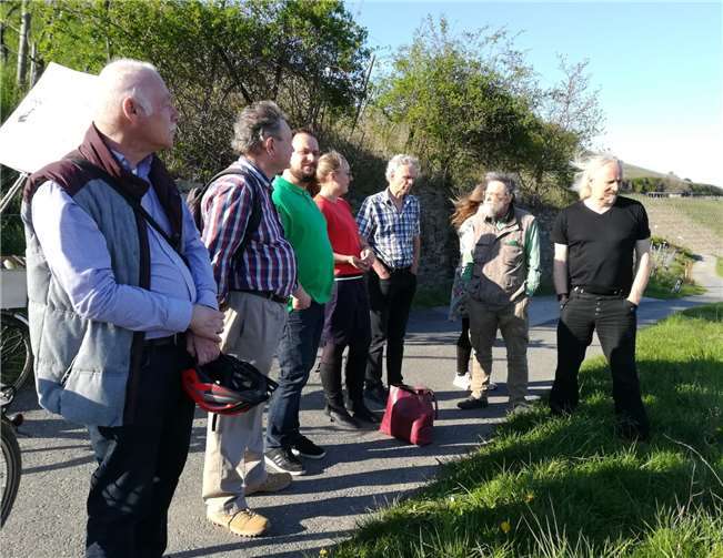 Vor Ort machten sich die Grünen ein Bild vom ökologischen Weinbau. Foto: privat