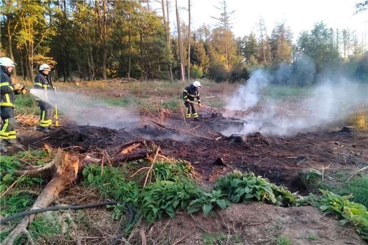 Vor Ort wurde eine brennende Fläche auf einem gerodeten Stück von rund 30 Quadratmetern angetroffen. Nach einer Stunde waren auch die Nachlöscharbeiten erledigt.Foto: Feuerwehr VG Puderbach