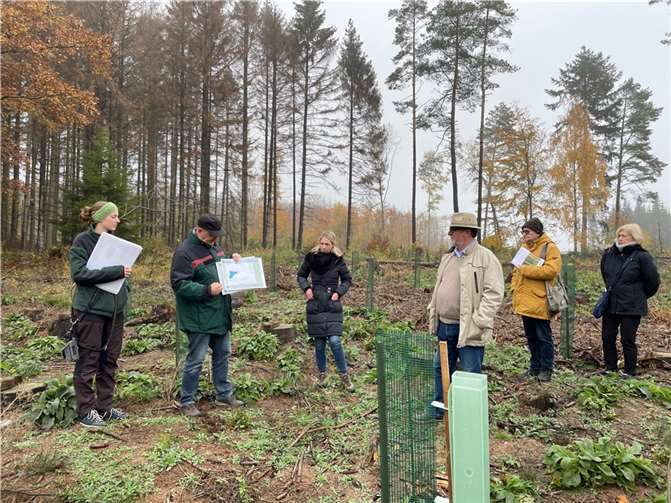 Vor Ort wurden Schäden und Lösungsmöglichkeiten aufgezeigt. Foto: privat