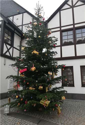 Vor dem Brohler Rathaus steht ein schön geschmückter Weihnachtsbaum.Quelle: Ortsgemeinde Brohl-Lützing